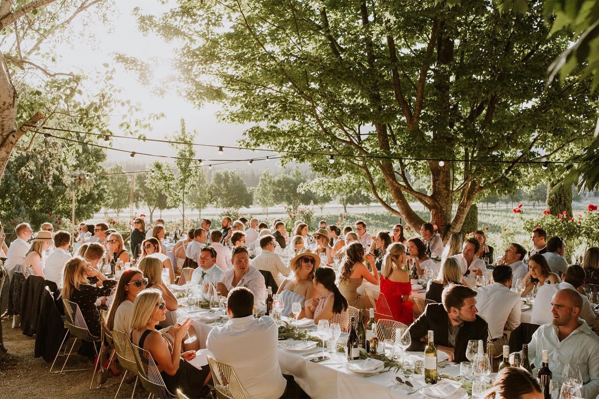 Feathertop Winery