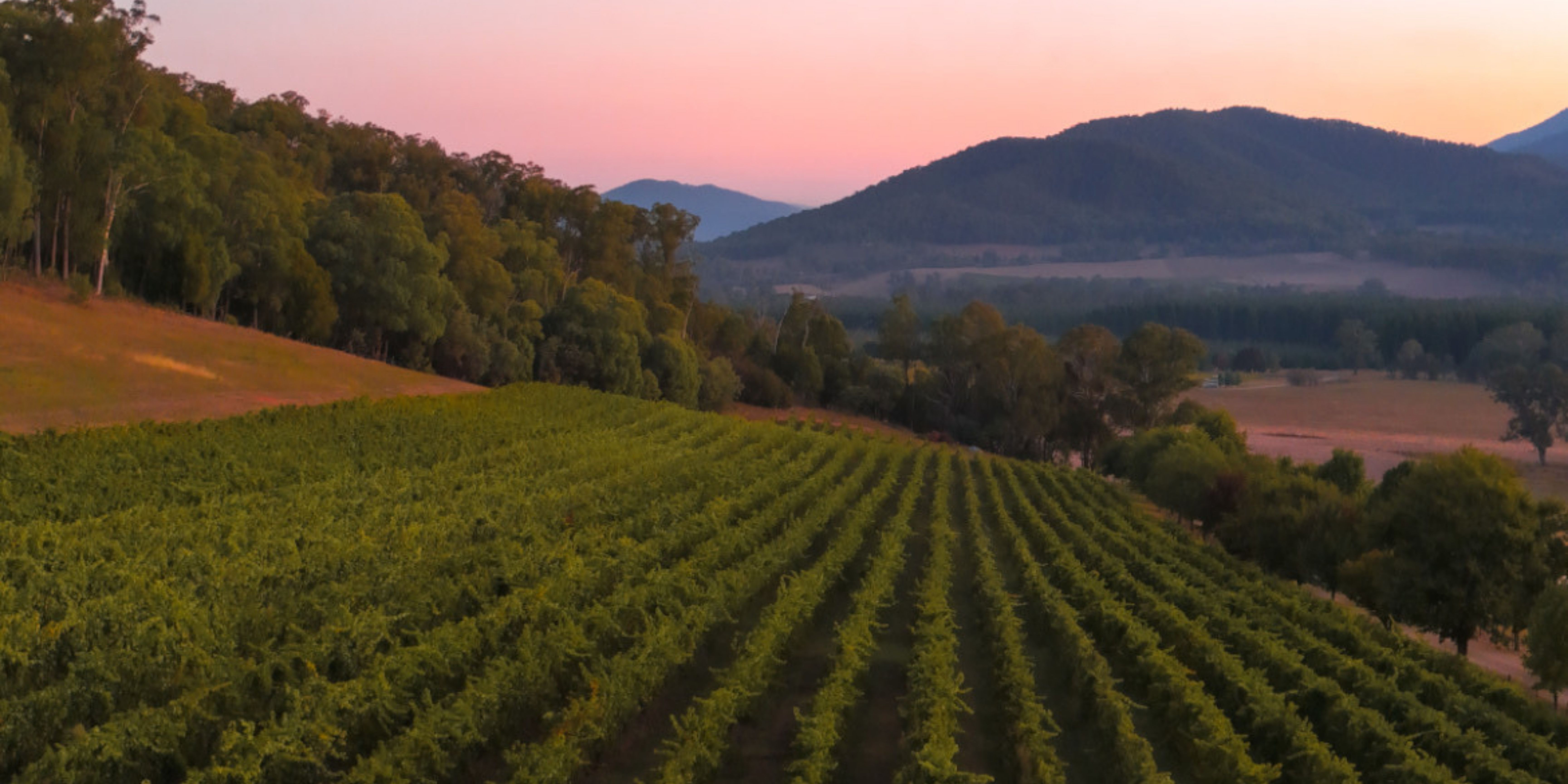 Feathertop Winery