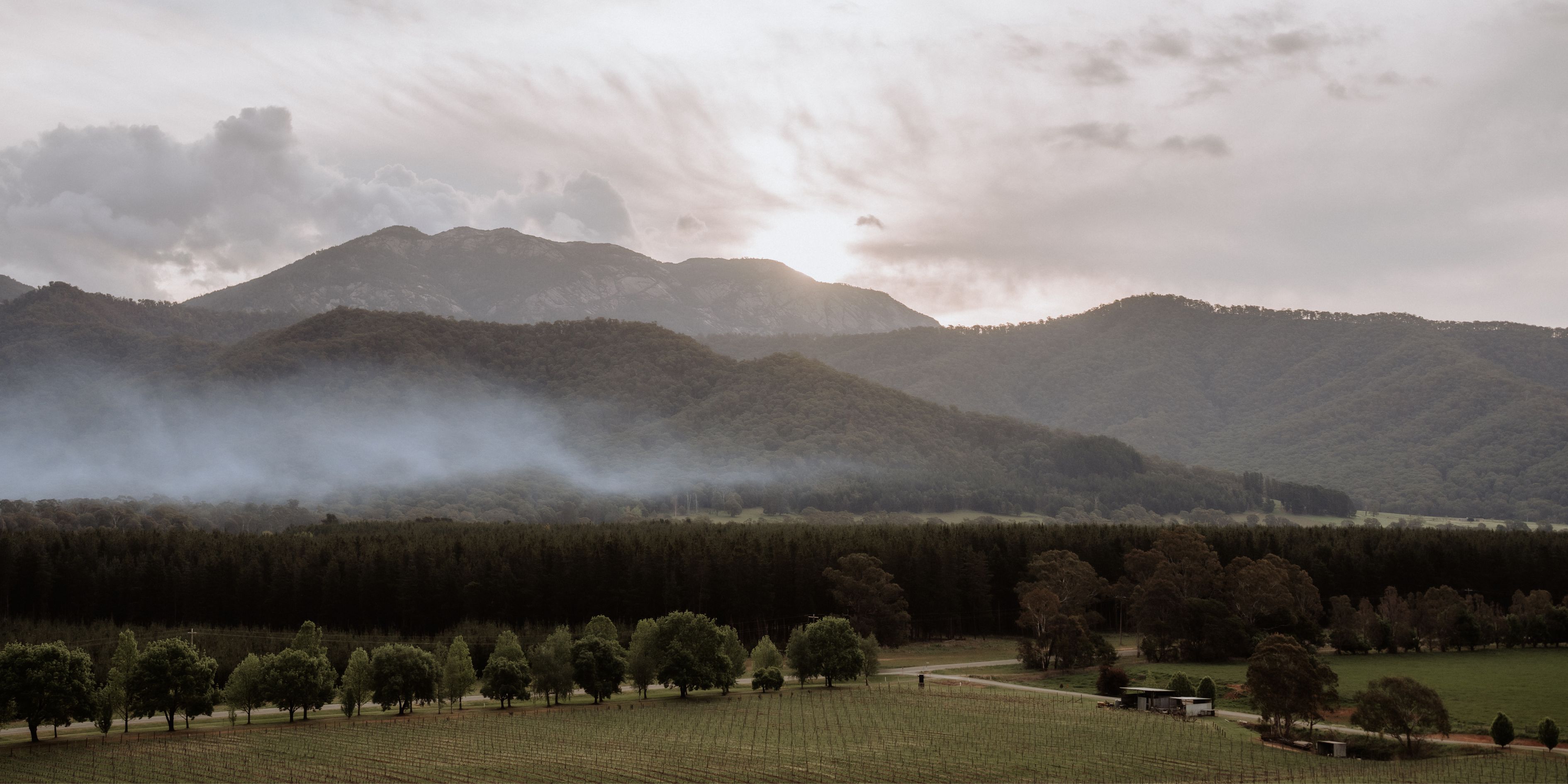 Feathertop Winery